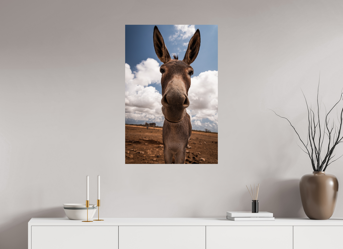 60 x 90 cm, Fotoprint zonder lijst Nieuwsgierige ezel uit Bonaire