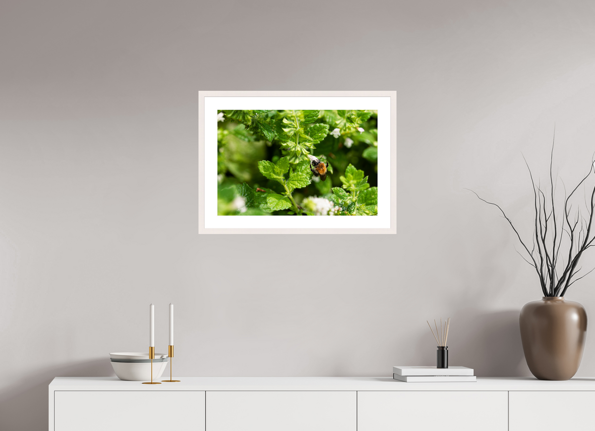 60 x 40 cm, Fotoprint met houten lijst - Esdoorn wit Bezige bij