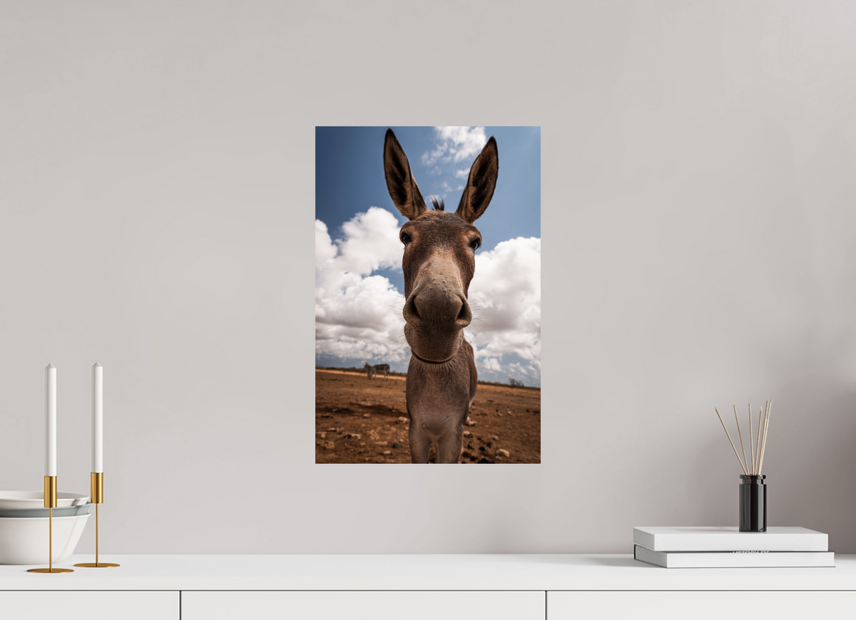 30 x 45 cm, Fotoprint zonder lijst Nieuwsgierige ezel uit Bonaire