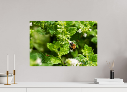 60 x 40 cm, Fotoprint op alu-Dibond Bezige bij