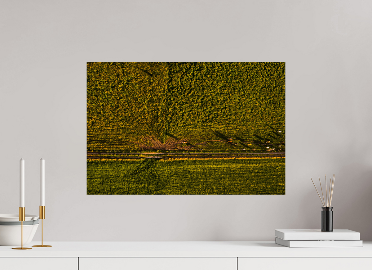 60 x 40 cm, Fotoprint op alu-Dibond Runderen van boven