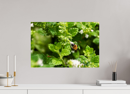 60 x 40 cm, Fotoprint zonder lijst Bezige bij