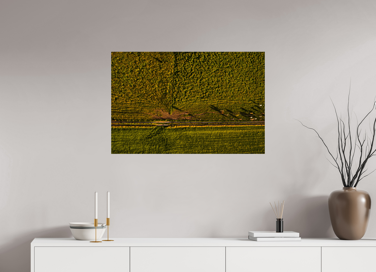90 x 60 cm, Fotoprint op alu-Dibond Runderen van boven