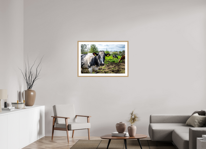 90 x 60 cm, Fotoprint met houten lijst - Eiken natuur Bleu Belge rund uit Limburg