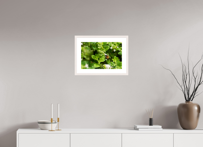 45 x 30 cm, Fotoprint met houten lijst - Esdoorn wit Bezige bij
