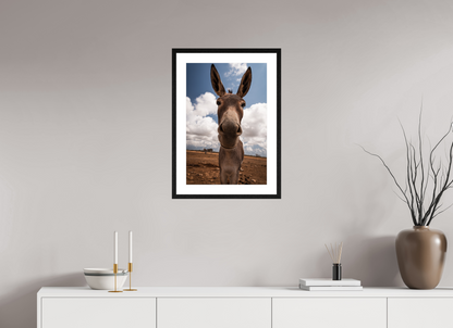 40 x 60 cm, Fotoprint met houten lijst - Eiken zwart Nieuwsgierige ezel uit Bonaire