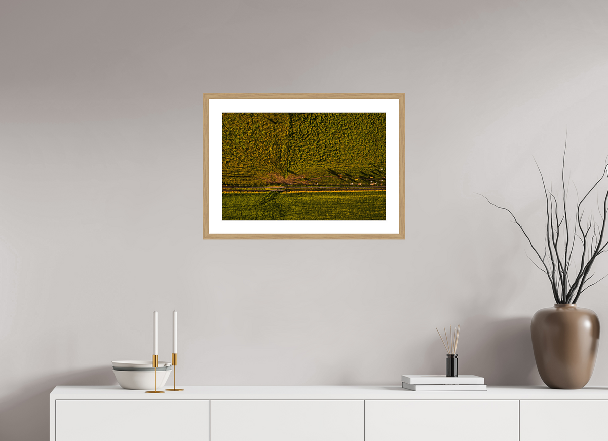 60 x 40 cm, Fotoprint met houten lijst - Eiken natuur Runderen van boven