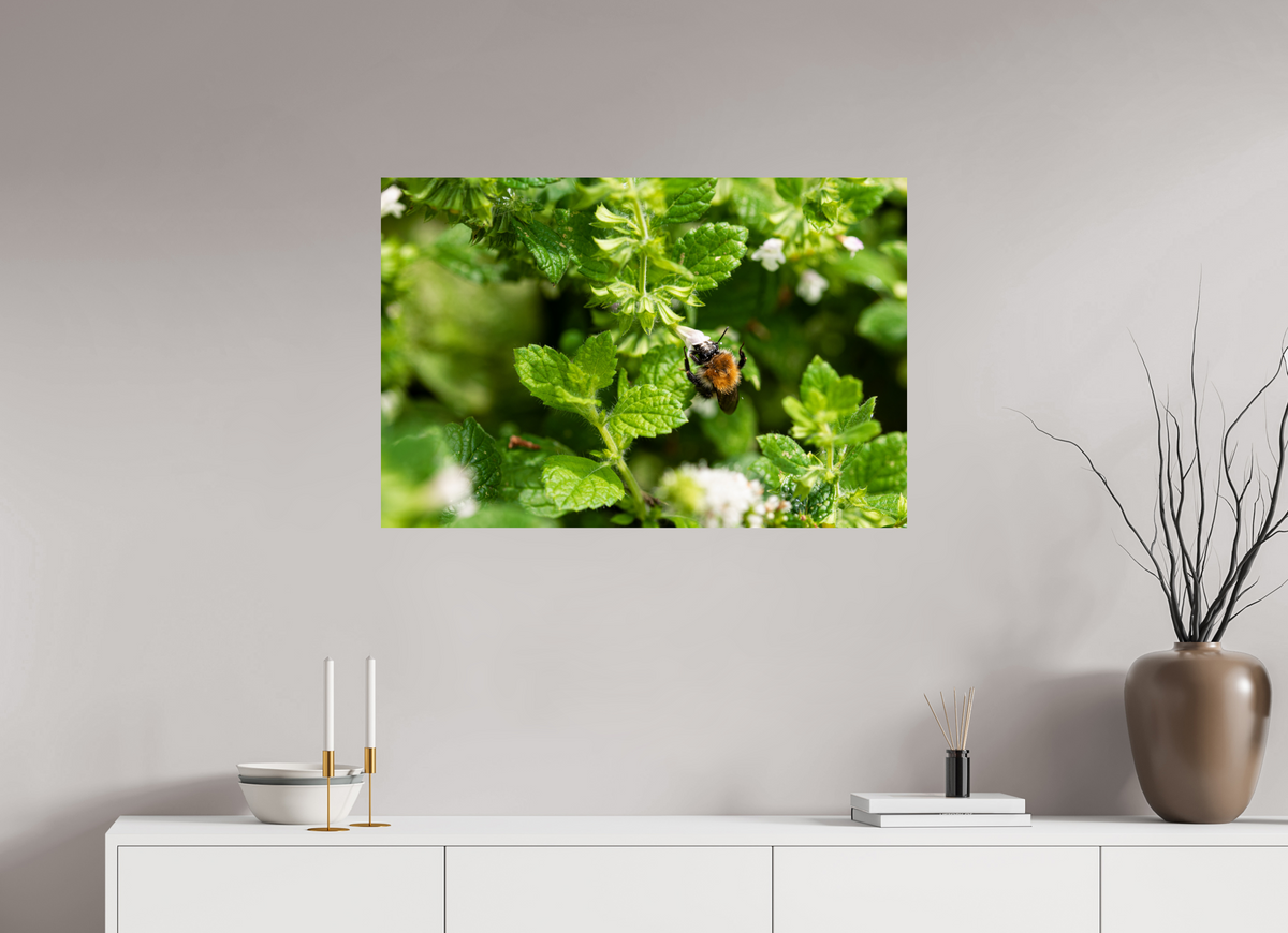 90 x 60 cm, Fotoprint op alu-Dibond Bezige bij